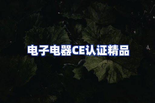 电子电器认证项目