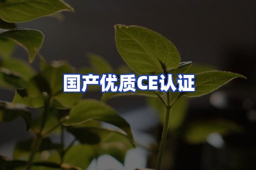 国产优质CE认证